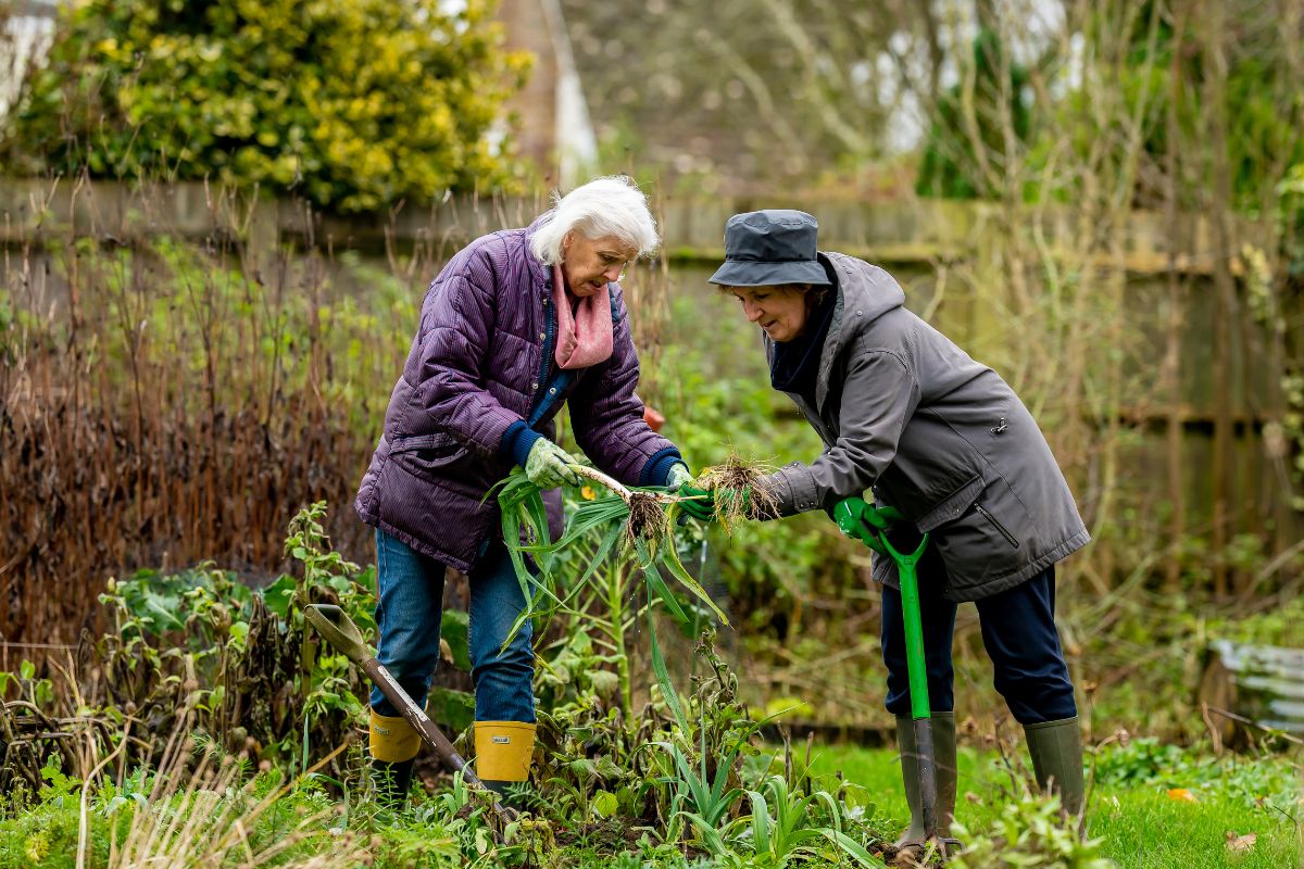 Residents enjoying outdoor activities at Sunshine Hill